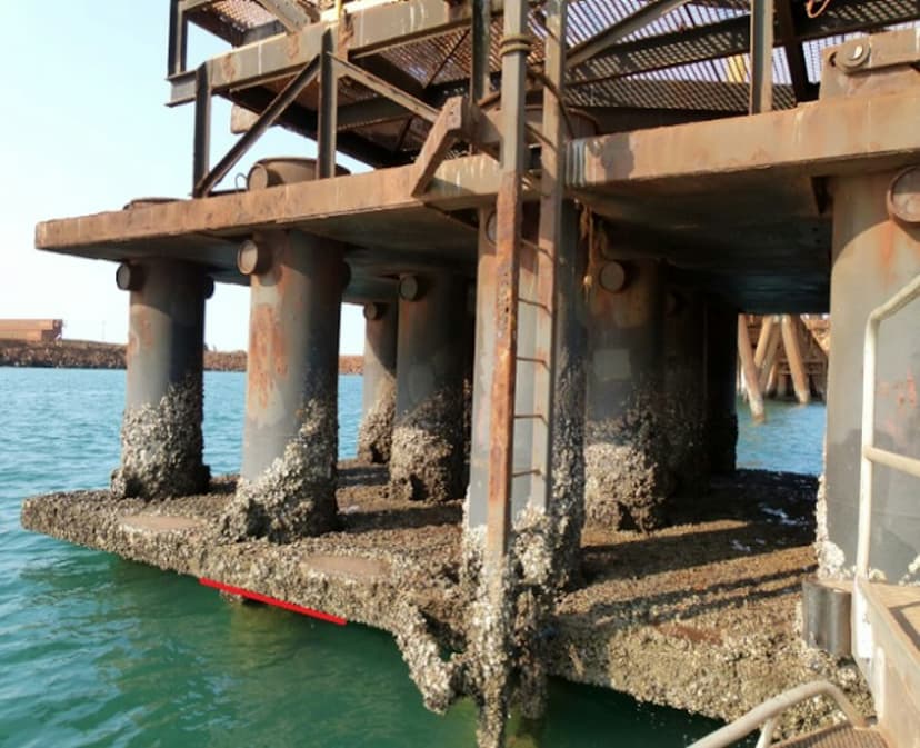 Jetty and Dolphin Structure Monitoring – professional monitoring services